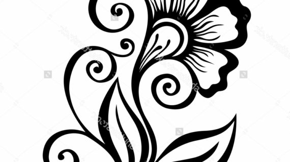 570x320 Simple Flower Designs Pencil Drawing Flowers Design