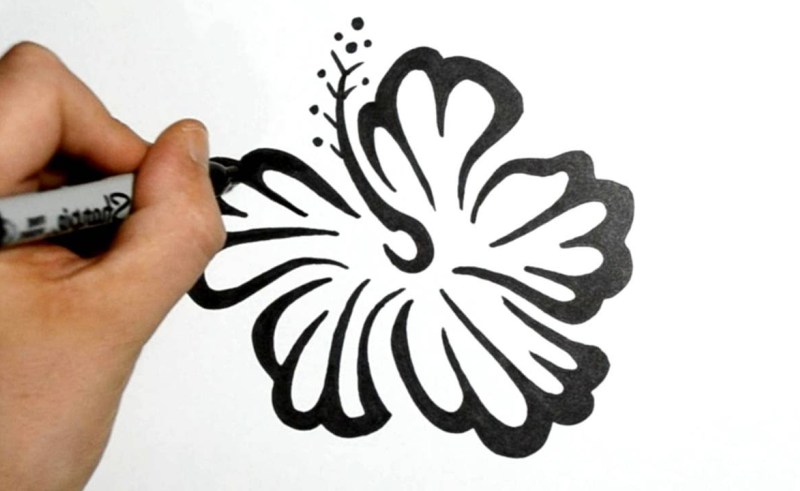 800x491 Basic Flower Design Drawing Gardening Flower And Vegetables