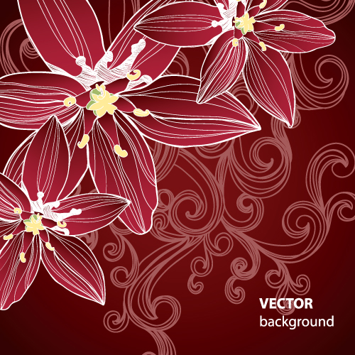 500x500 Set Of Drawing Flower Vector Backgrounds Vector 01
