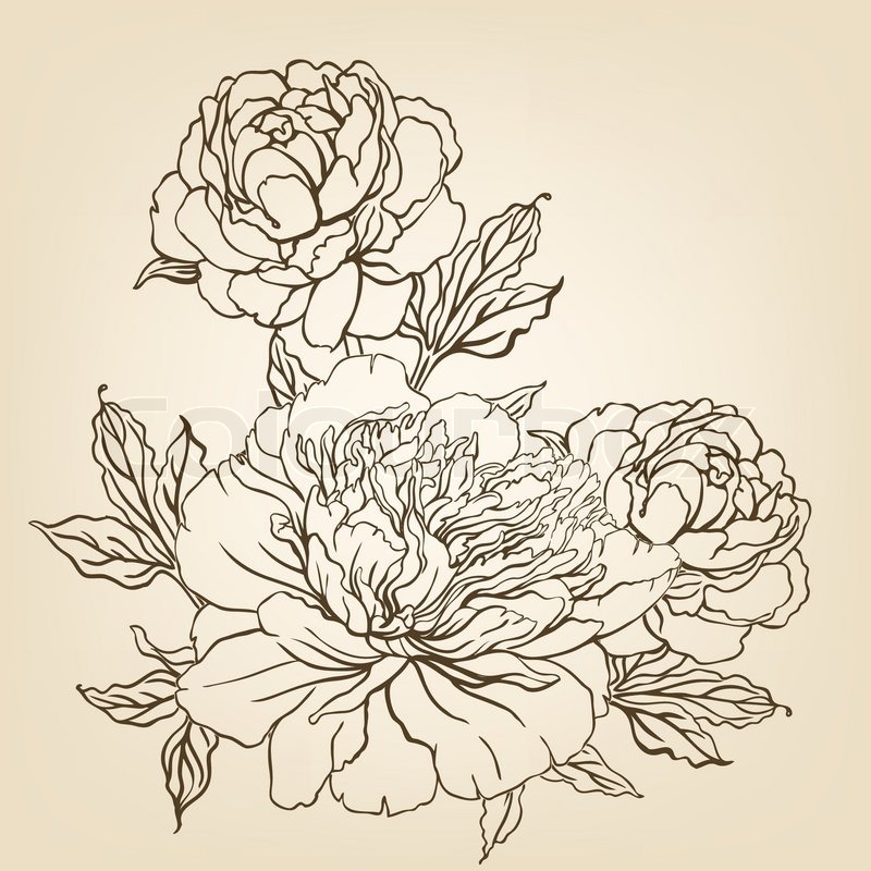 800x800 Vintage Hand Drawing Background With Flowers. Vector Illustration