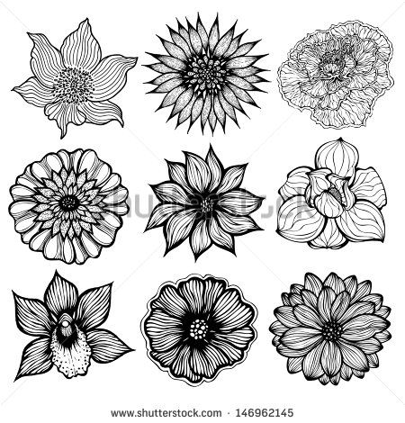 450x470 Gallery Black And White Flower Drawings Pics,