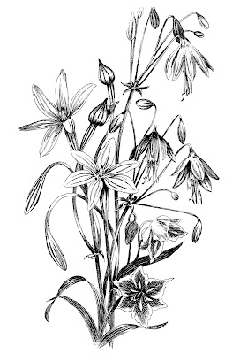 272x400 Flowers Archives