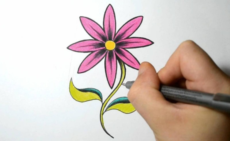 800x491 Drawing A Cartoon Bee On Flower Gardening Flower And Vegetables