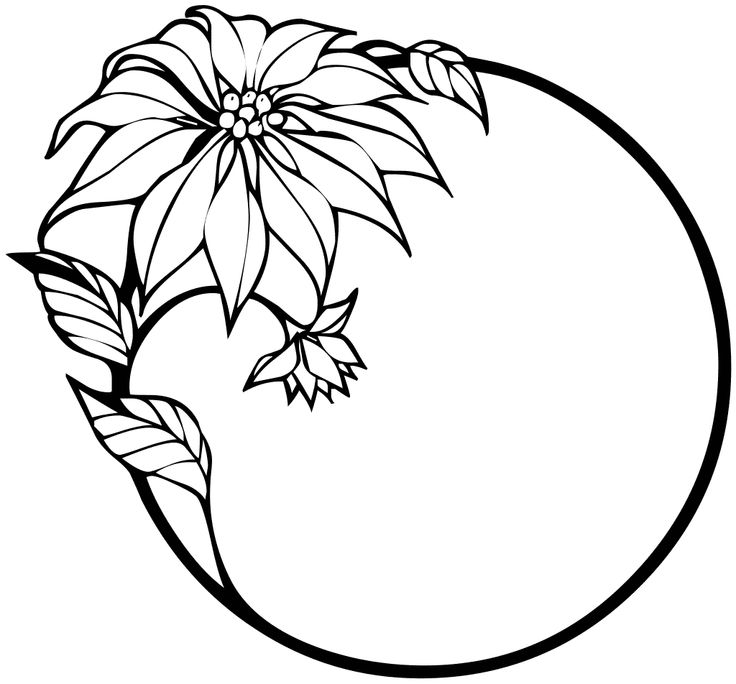 736x684 Poinsettia Clipart Black And White
