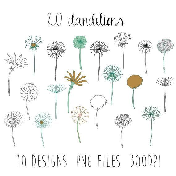 570x570 Dandelions Clipart Flower Clipart Doodle Clipart Hand