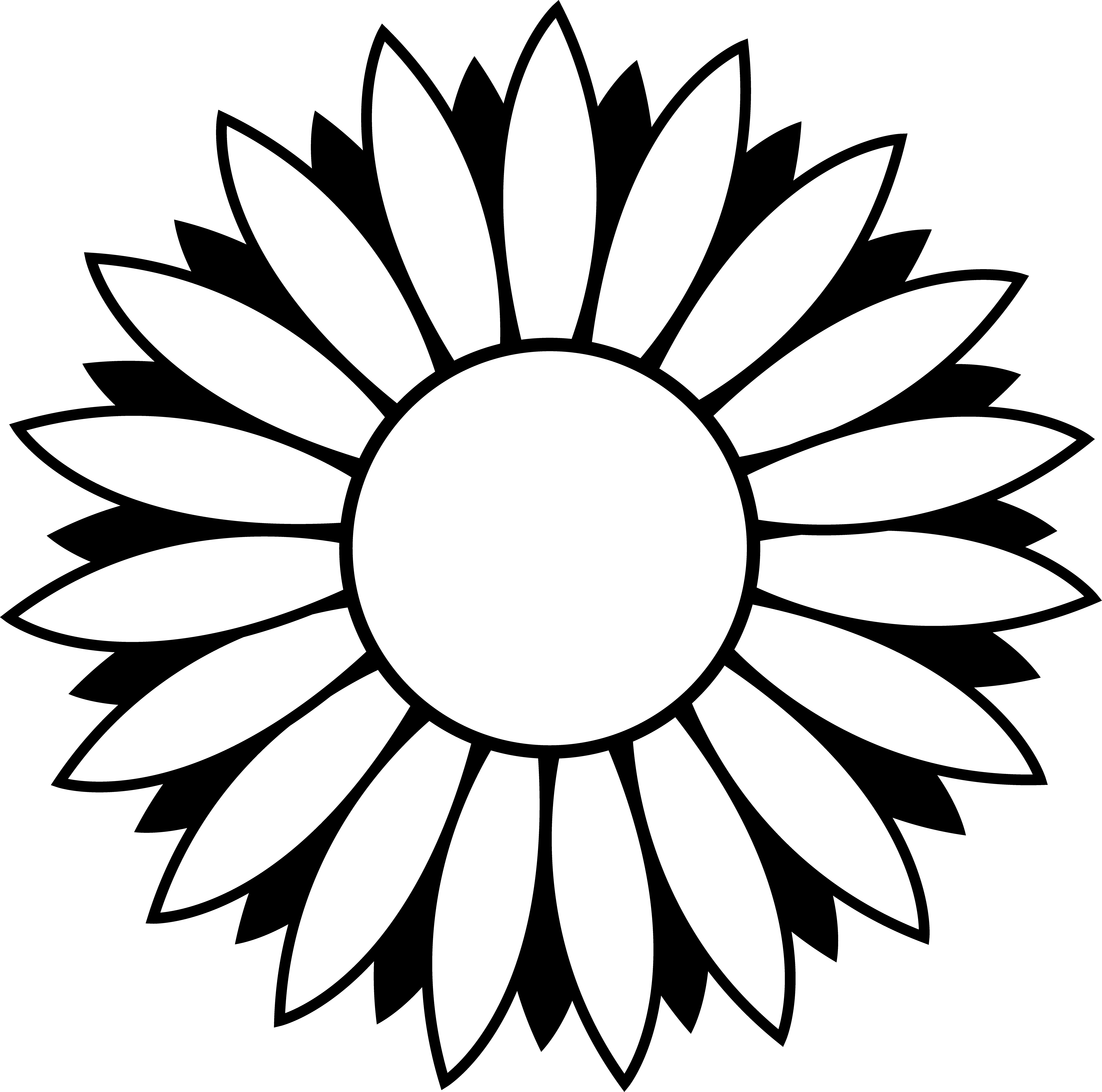 5137x5092 Drawing Clipart Sunflower