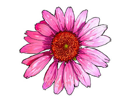 450x350 Stock Illustration