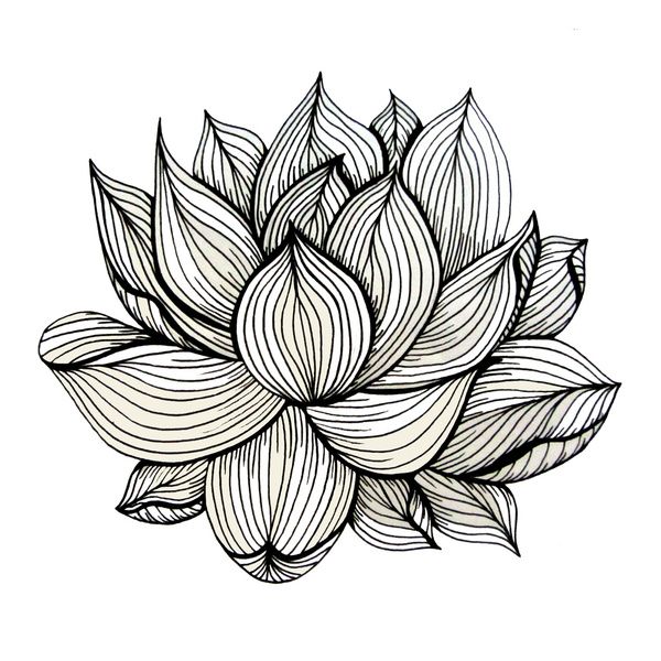 600x600 Drawings Of Flowers In Black And White Free Download Best