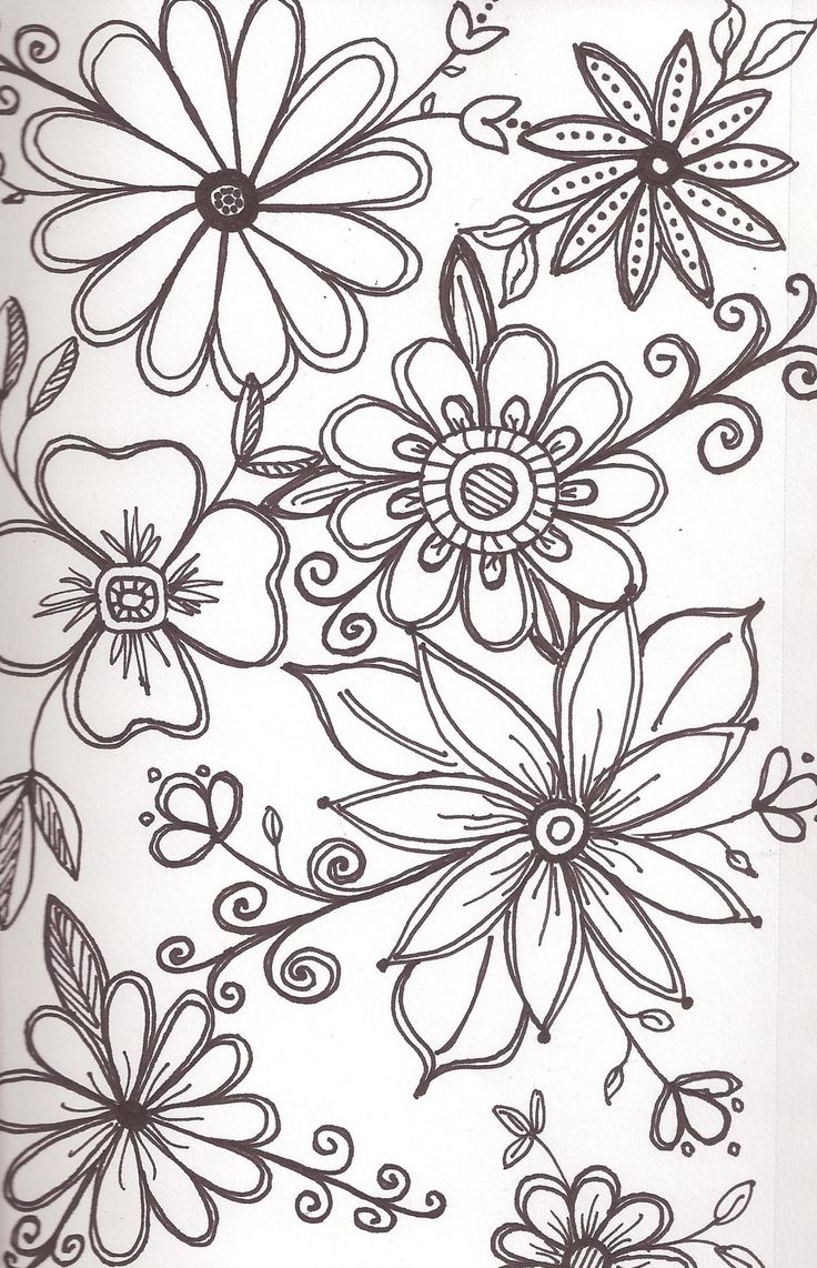 736x1142 Pictures Flower Drawing Designs,
