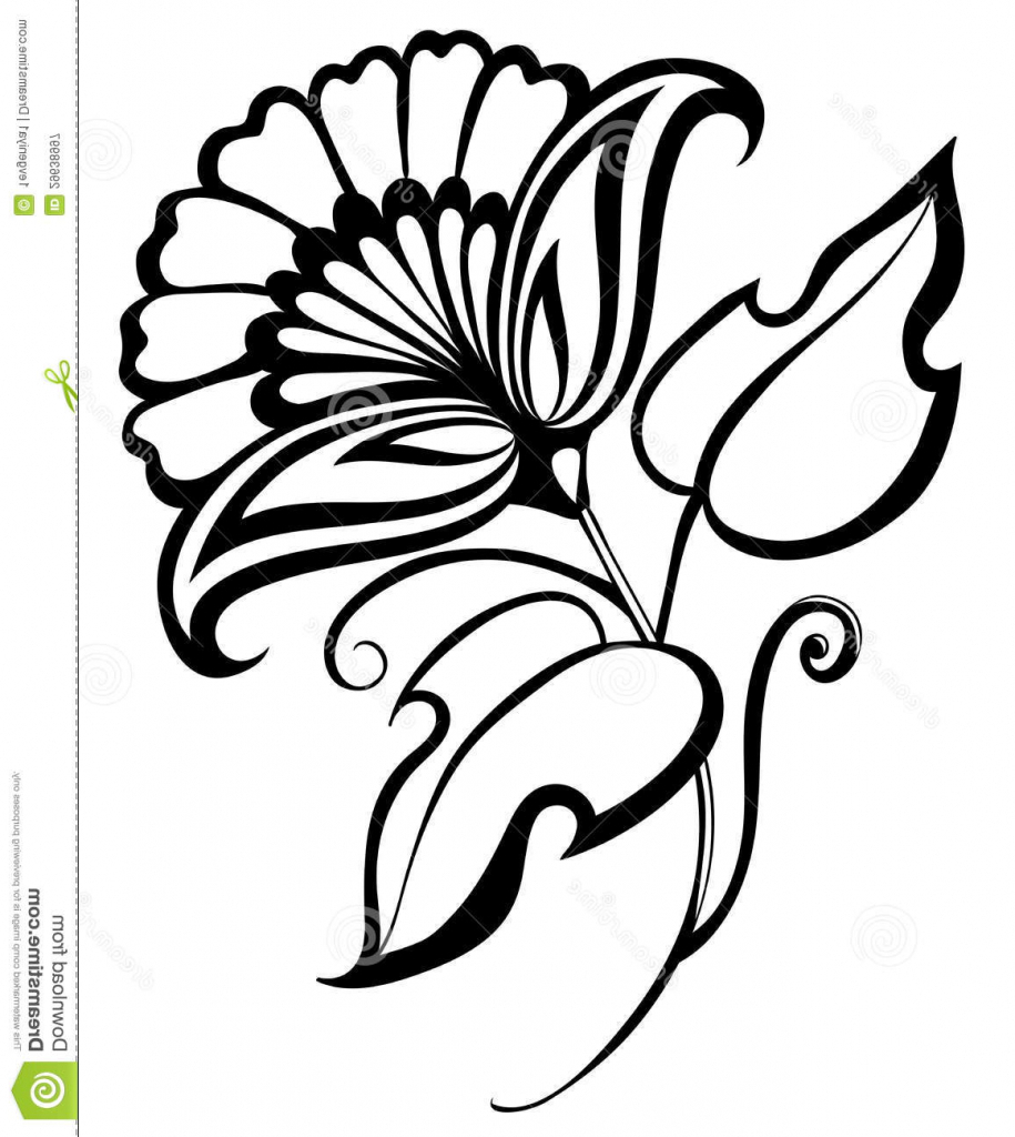 915x1024 Drawing Flowers Designs 1000 Images About Flower Drawings