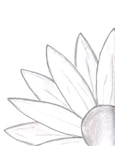 236x300 Drawing Ideas Easy Flowers The Garden Inspirations