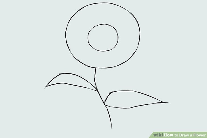 Flower Drawing Easy Step By Step