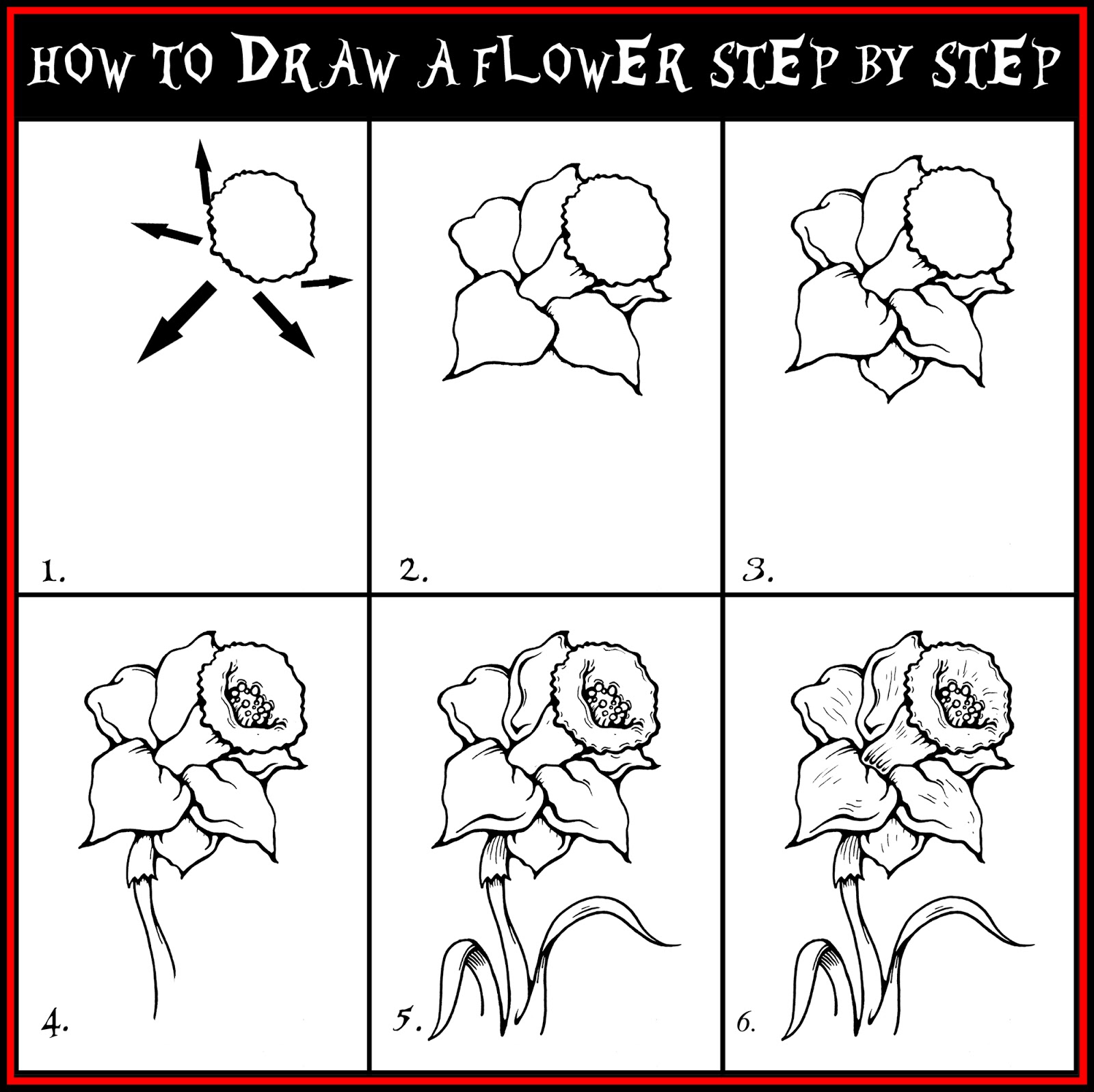 1600x1596 How To Draw A Flower Step By Step Drawing Guide Daryl Hobson Artwork