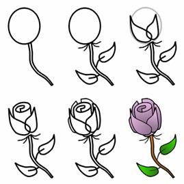 269x269 How To Draw Flowers Drawing Tutorials Amp Drawing Amp How To Draw