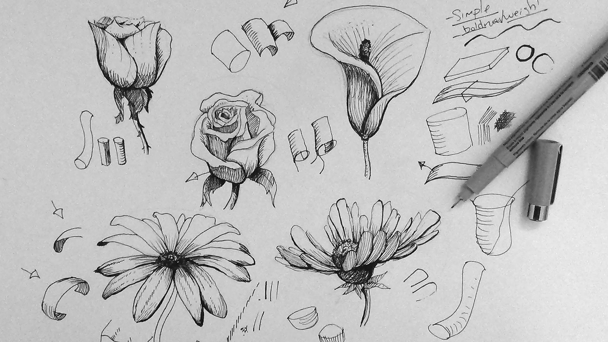 How to Draw Cartoon Flowers  Easy Step by Step Drawing Guides