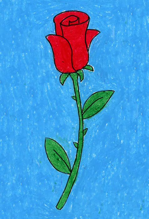 477x700 Draw A Rose