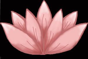 300x200 How To Draw A Lotus Flower For Kids