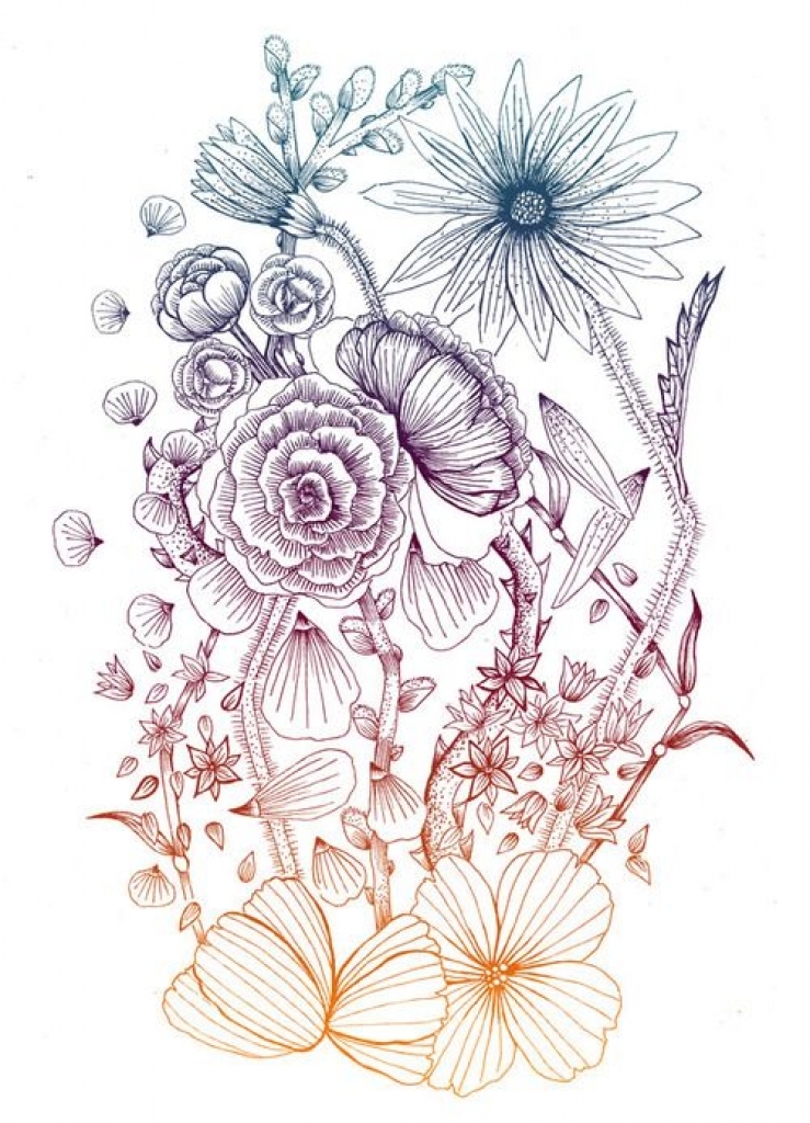 739x1024 Photos Flower Drawing Ideas,