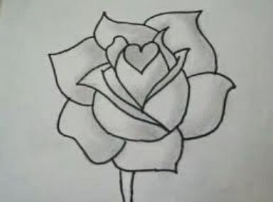 385x285 Rose Flower Draw Easy Ideas Sketches Rose