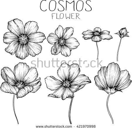 450x446 Drawing Pictures For Flowers The 25 Best Flower Drawings Ideas