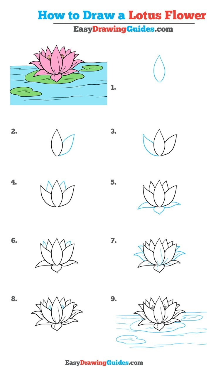 736x1280 How To Draw A Lotus Flower