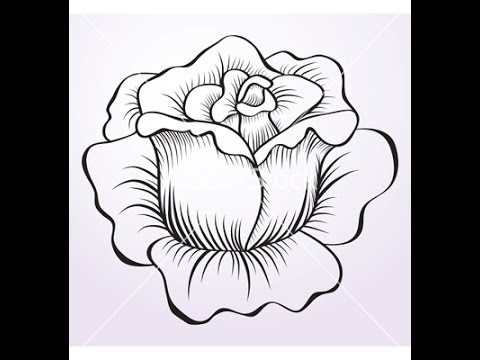 480x360 How To Draw A Rose Flower
