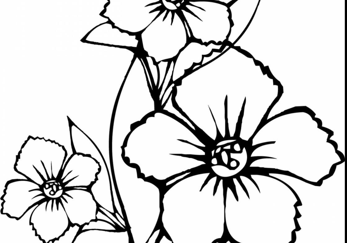 1119x784 Vase Wonderful How To Draw Flower Coloring Page With Hawaiian