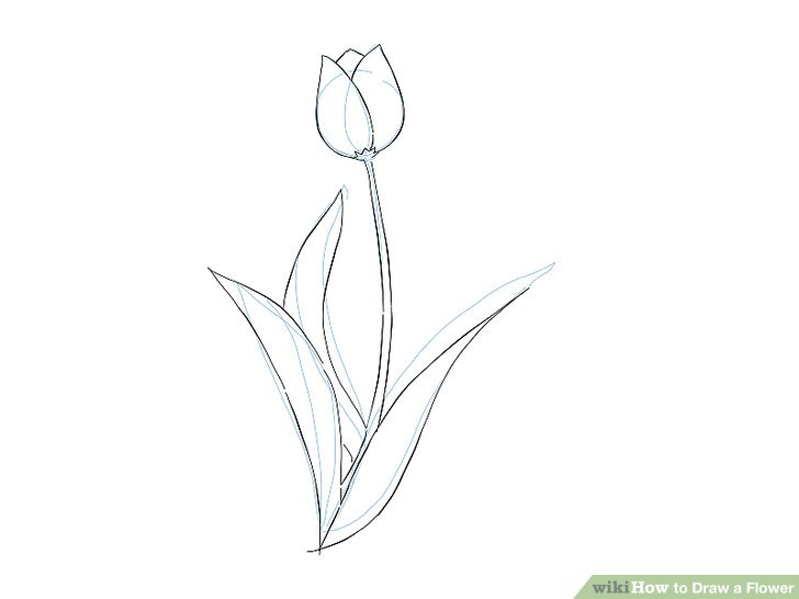 728x546 9 Easy Ways To Draw A Flower