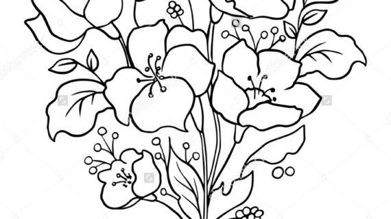 570x320 Outline Of Flowers For Drawing Flower Drawing Outline