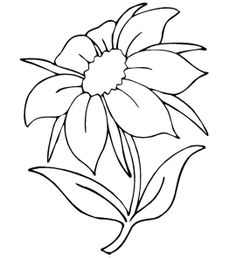 236x258 Flowers Outline Coloring Page Free Download