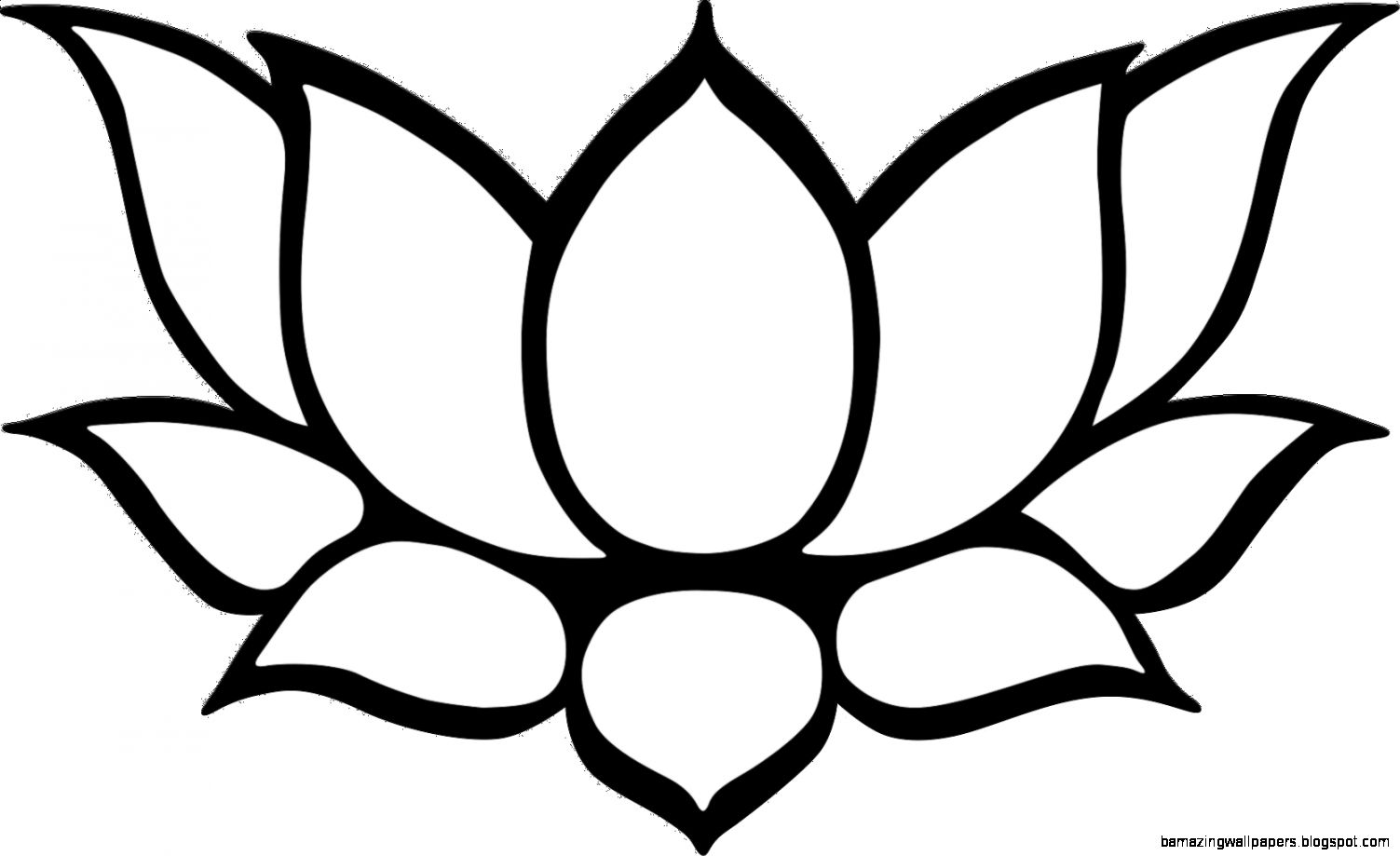 1503x919 Lotus Flower Drawing Outline Amazing Wallpapers