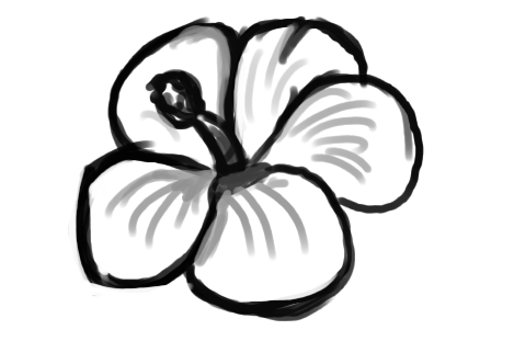 469x332 Pictures Easy Flower Drawing Outline,