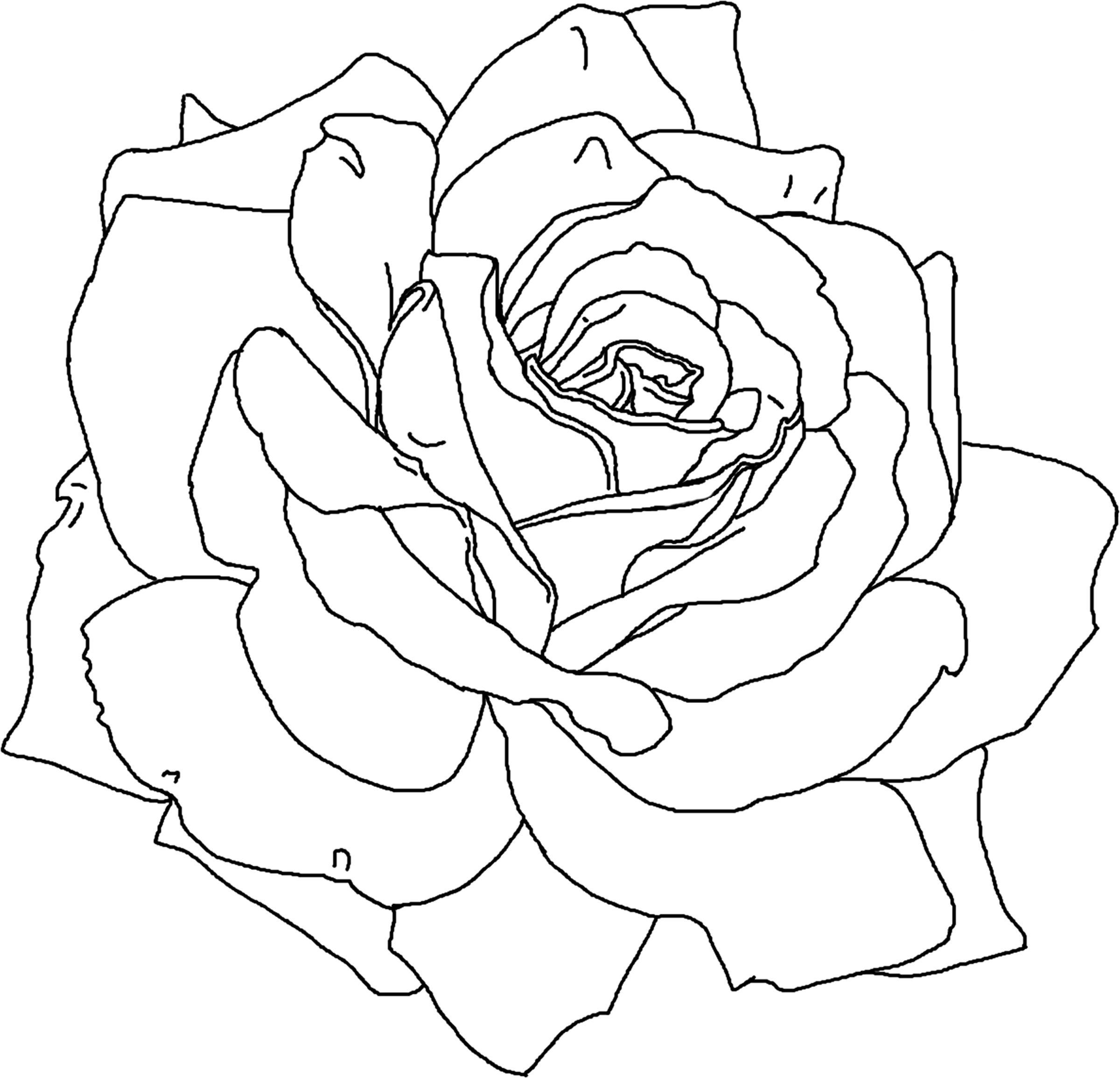2400x2311 Download And Print Rose Flower Coloring Pages Printable School