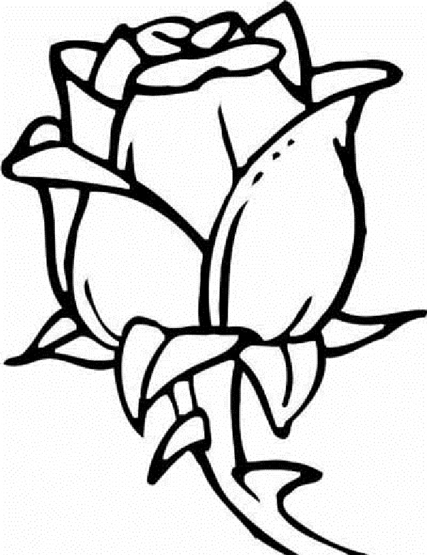 600x780 Rose Flower Coloring Pages Coloring Page For Kids Kids Coloring