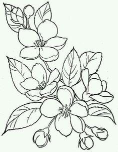 236x303 Tropical Flowers Stained Glass Coloring Book Hand Drawn
