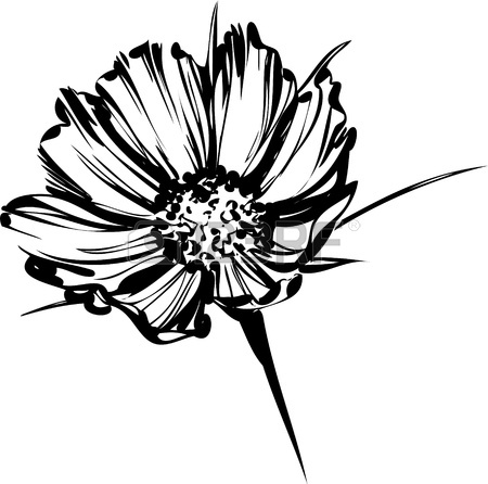450x446 Flower Sketch Stock Photos. Royalty Free Business Images