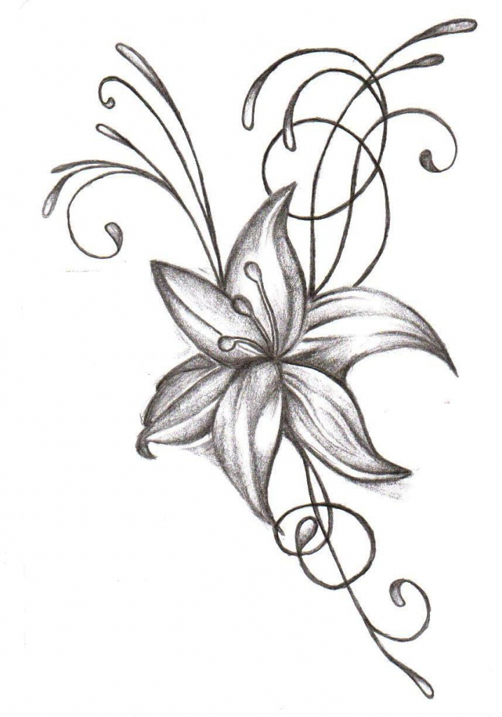 717x1024 Drawing Flower Design 1000 Images About Flower Drawings