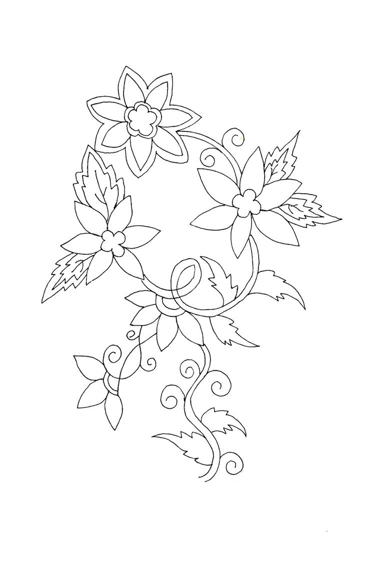 736x1143 Simplified Flower Drawings From India 351 Best Drawing Flowers