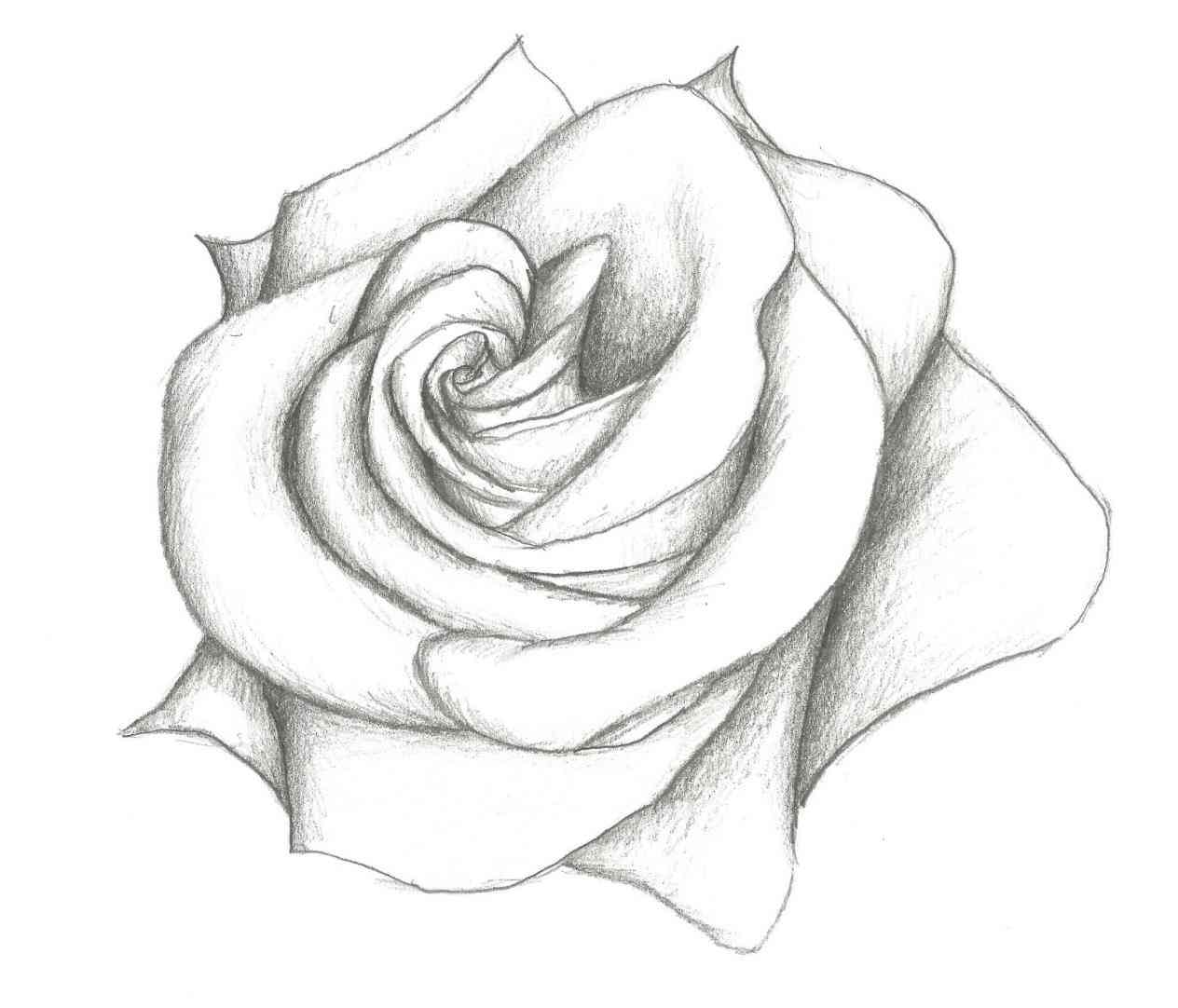 1264x1082 Drawings Rose By Amourdefraise Traditional Art Pretty Flower