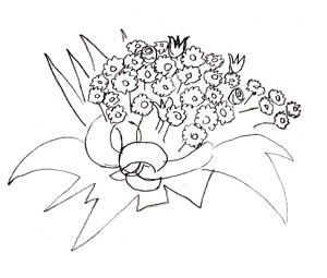 300x255 How To Draw A Flower