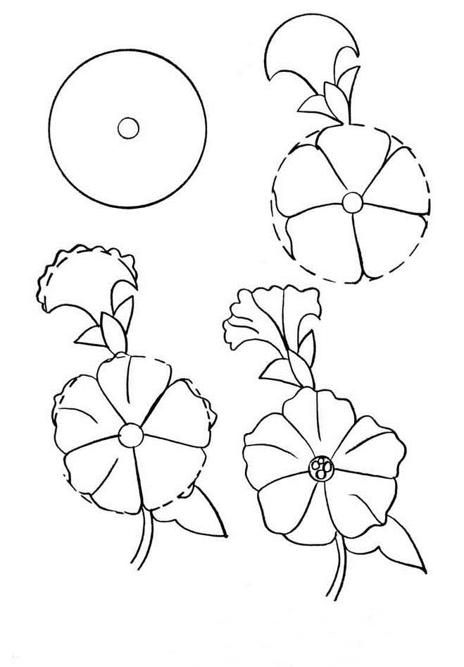 659x946 How To Draw A Simple Flower Step By Step With Pencil 18 Lessons