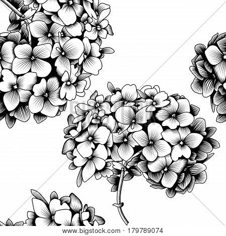 450x470 Seamless Pattern Hydrangea Flower Vector Amp Photo Bigstock