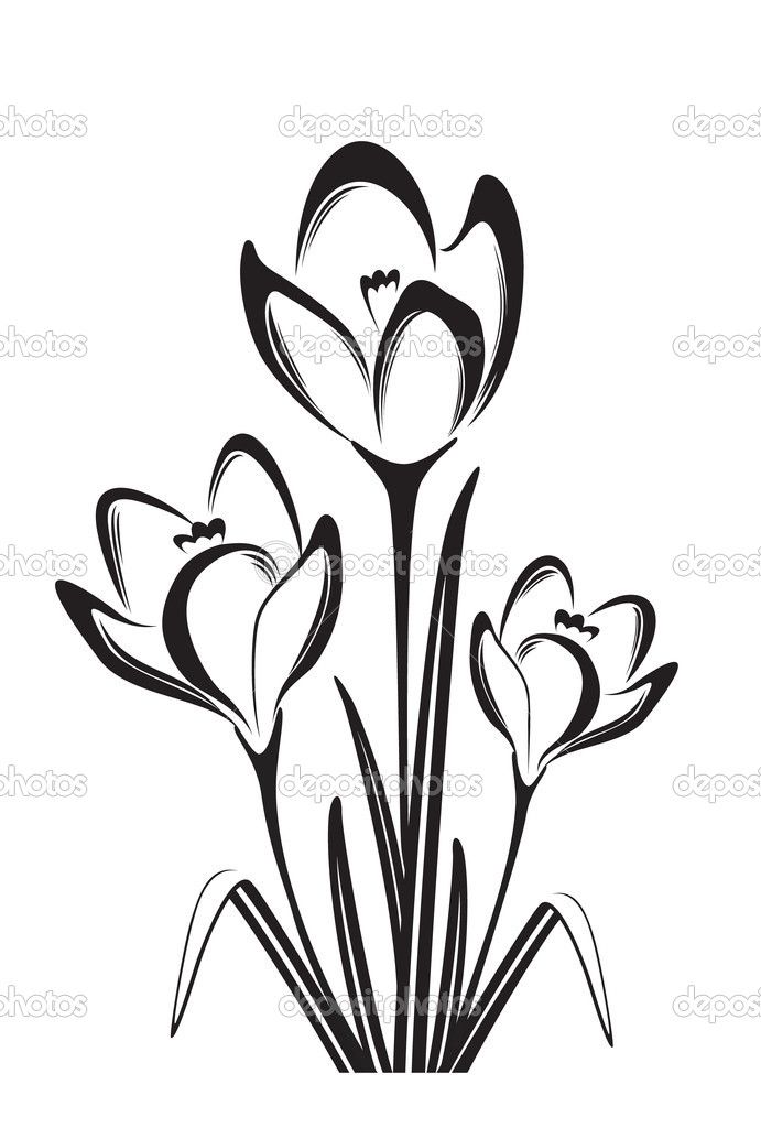 691x1024 Black And White Drawings Of Flowers