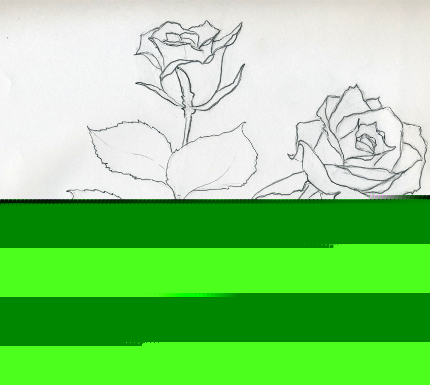 847x757 Pictures Flower Drawing For Wallpaper Sketch,
