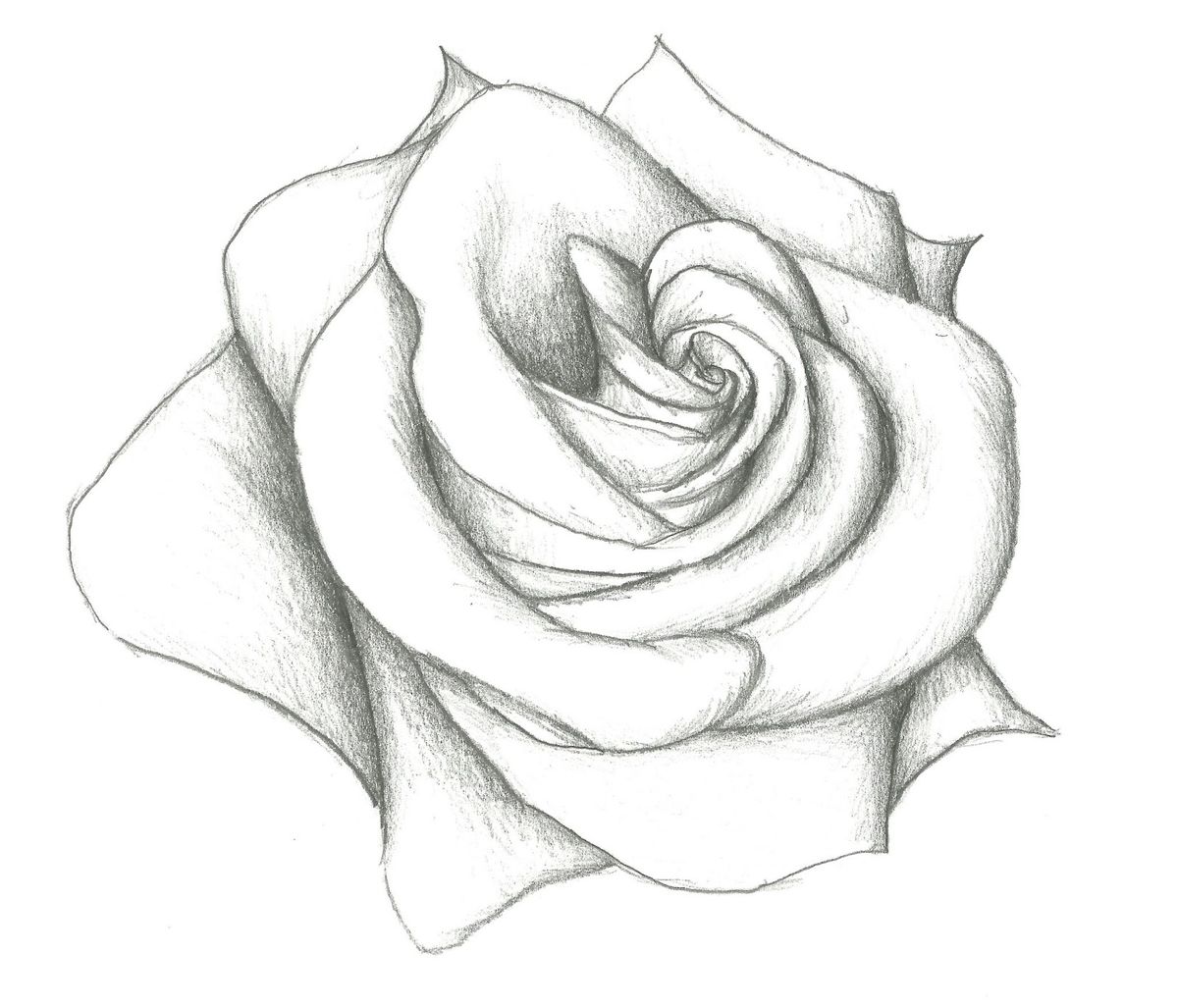 1200x1027 Drawing Awesome Easy Flower Drawings Together With Awesome Easy