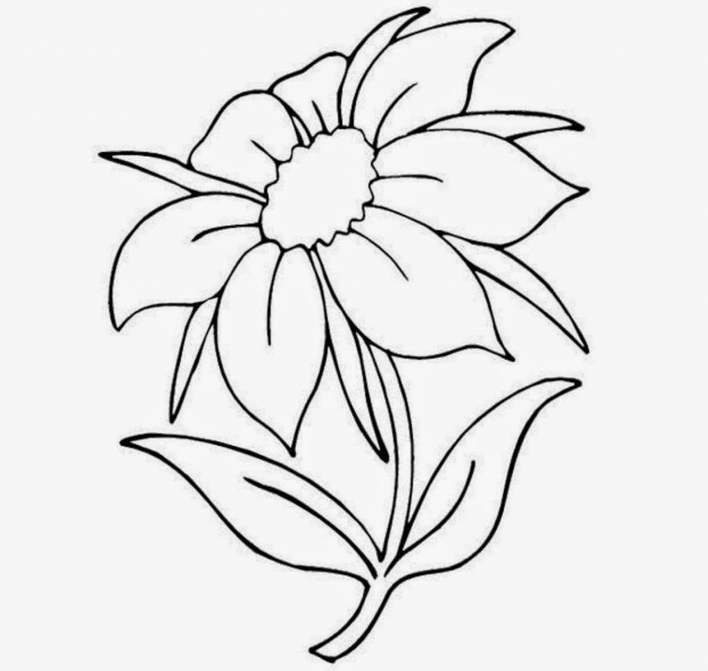 1024x971 Easy Drawing Flowers Pictures Of Flowers To Draw Beautiful Flowers