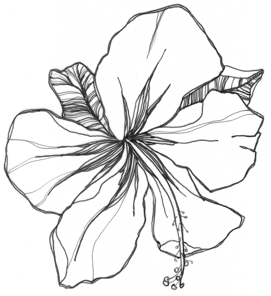 936x1024 Beautiful Flowers Drawing Easy Easy Drawing Of Flower Easy Flower