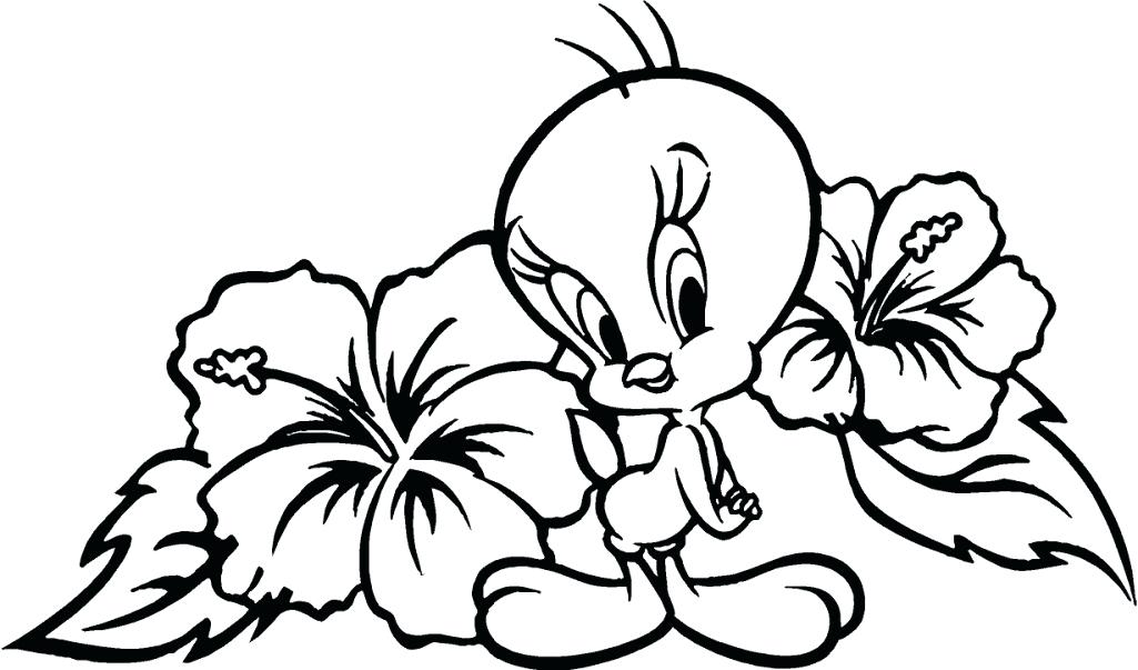 1025x603 Free Flower Coloring Pages 21 Plus Coloring Pages Draw Easy