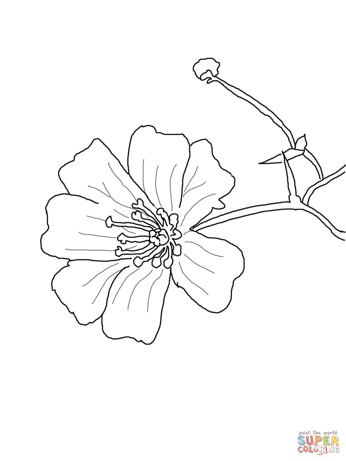 1200x1600 Cartoon Flower Face Coloring Page Free Printable Coloring Pages