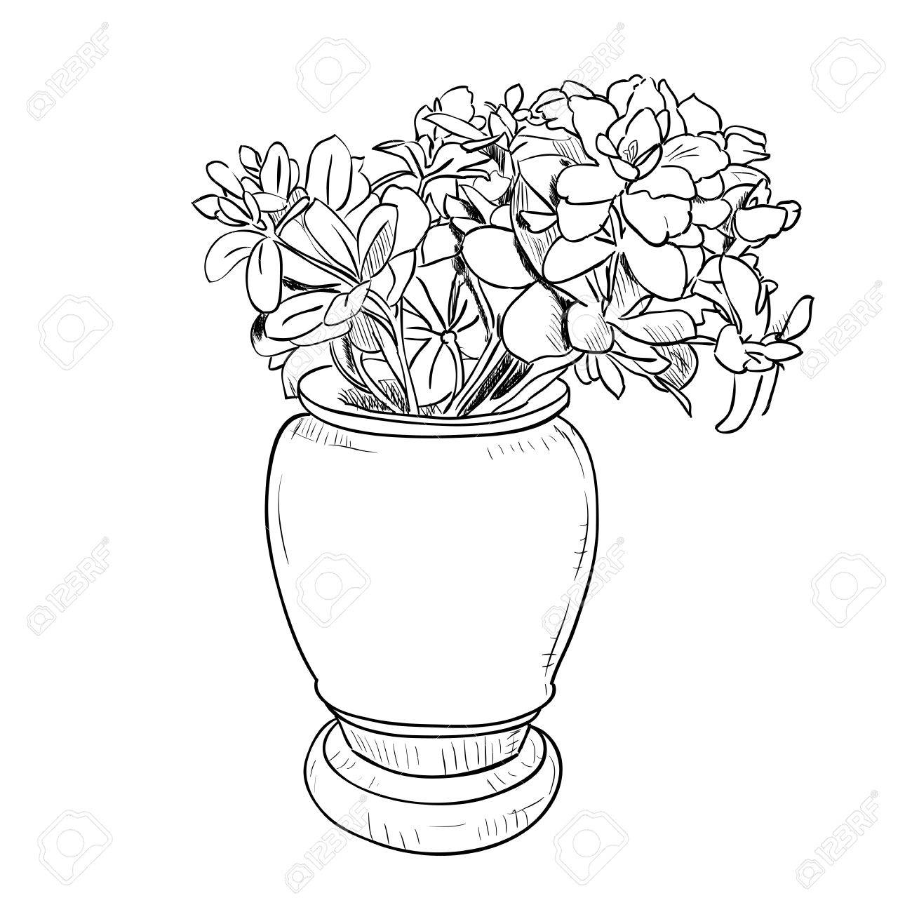 1300x1300 Vector Drawing Sketch Of Vase With Flowers. Hand Draw Illustration